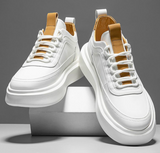 Blanc/Marron