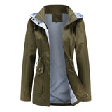 Olive verte