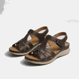 Marron foncé