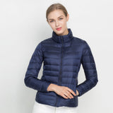 Bleu marine